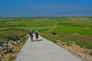 Camino de Santiago (Francés)