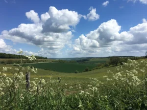 The Ridgeway