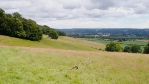 North Downs Way