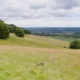 North Downs Way